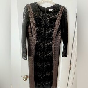 Dress the population, black fishnet and embroidered dress SIZE  1X